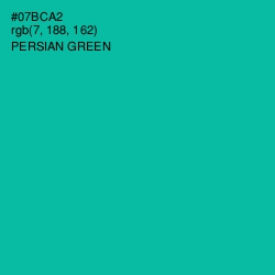 #07BCA2 - Persian Green Color Image